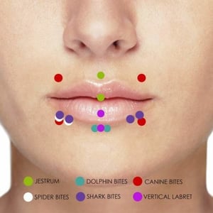 Vari tipi di piercing al labbro: Jestrum, Dolphin bites, Canine bites, Spider bites, Shark bites e Vertical labret